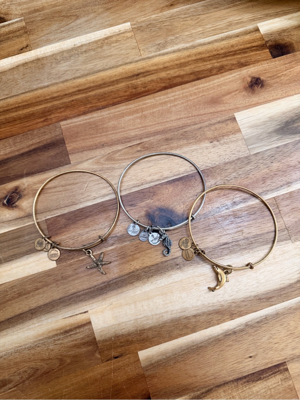 Set of 3 Alex and Ani Charm Bangles